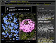 Tablet Screenshot of flowershots.net